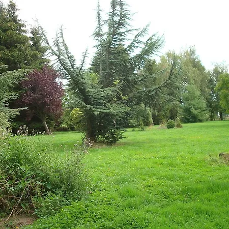 Du Bord De Lys * Blessy